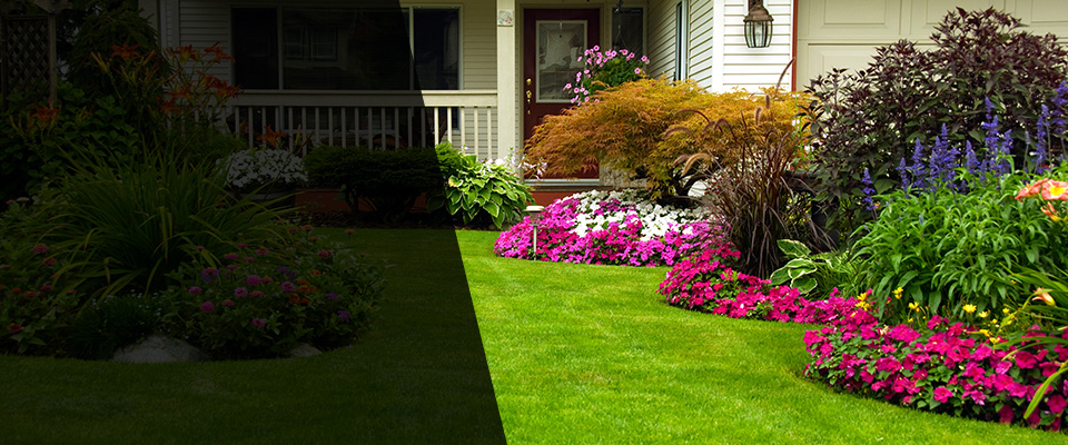 Bogart Landscapers