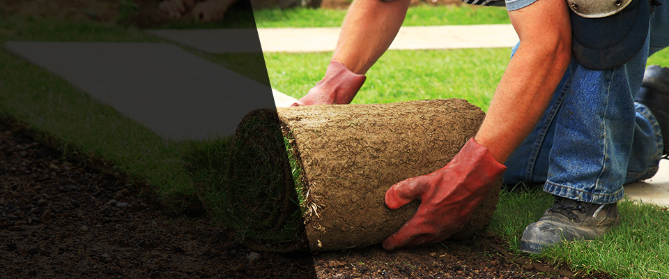 Bogart Landscapers
